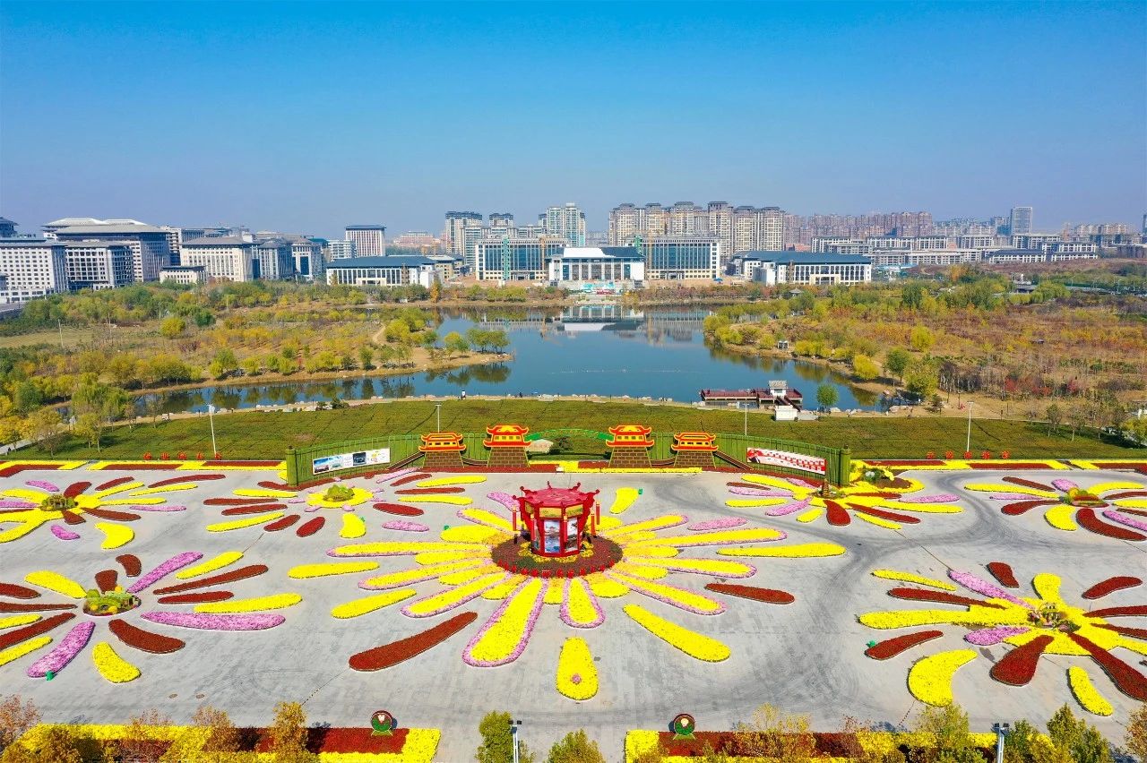 菊花文化节期间,四海宾朋来到开封,除了感受这座千年历史文化名城的